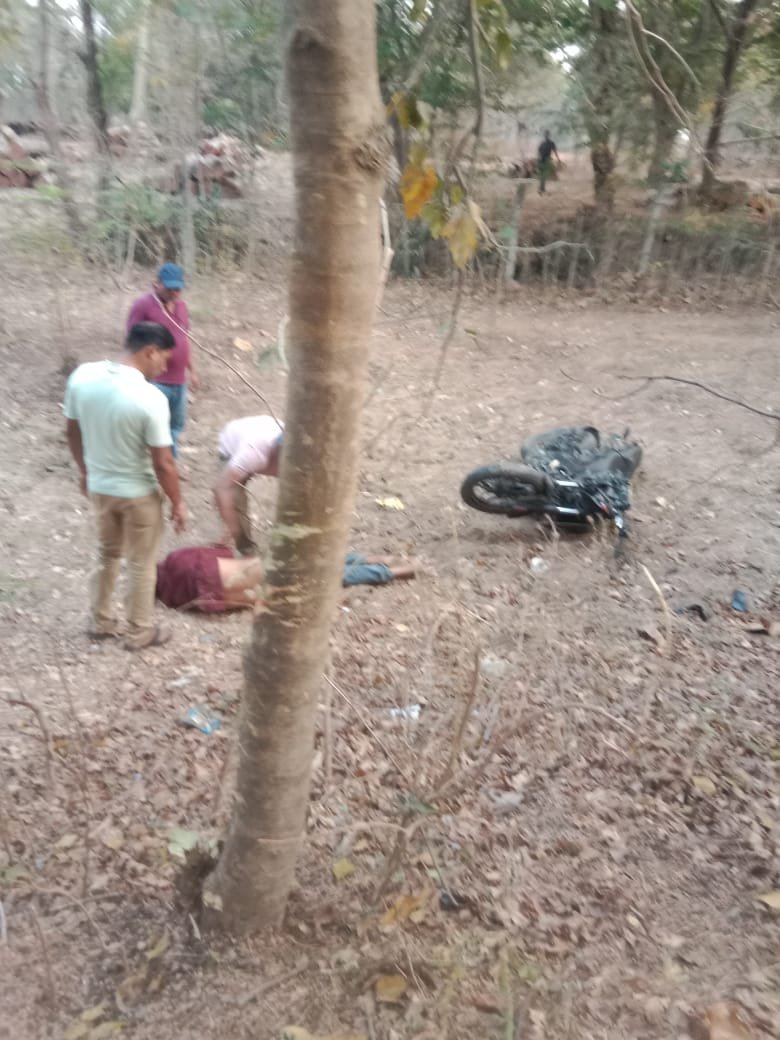 दुचाकीचा भिषण अपघात , दुचाकी झाडाला आदळली. दोघेही गंभीर