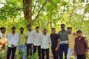 🐦पक्षांसाठी राबविला उपक्रम सालमारा जंगलात