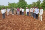💥जिवतीच्या आदिवासींना तेलंगणा वनविभागाकडून पेरणीस मज्जाव