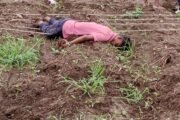 💥शेतातील विधुत ताराच्या स्पर्शाने सावलहीरा येथे एका शेतकर्‍याच्या मृत्यु