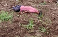 💥शेतातील विधुत ताराच्या स्पर्शाने सावलहीरा येथे एका शेतकर्‍याच्या मृत्यु
