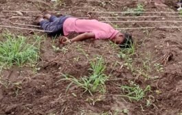 💥शेतातील विधुत ताराच्या स्पर्शाने सावलहीरा येथे एका शेतकर्‍याच्या मृत्यु