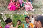 🌼सामाजिक कार्यकर्त्या संगीता ठलाल यांच्या पुढाकाराने केले वृक्षारोपण