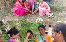 🌼सामाजिक कार्यकर्त्या संगीता ठलाल यांच्या पुढाकाराने केले वृक्षारोपण