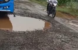 🅾️चामोर्शी ते हरणघाट रस्ता खड्ड्यात रस्ता की रस्त्यात खड्डा⭕ 