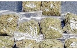 💥धनेगावच्या इसमाकडून ५० किलो गांजा पोलीसांनी केला जप्त