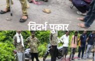💥पौबुर्णा फाट्याजवळ ट्रकच्या धडकेत बिबट्या ठार