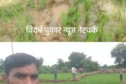 हत्तीचा कळप आला वैरागड - चामोर्शीच्या जंगलात.केले उभ्या पिकाचे नुकसान. हत्तीचा बंदोबस्त करा अन्यता आमच्या जमीनी वनविभागाच्या स्वाधिन करा. वैरागड वासीयांचे RFO ला निवेदन.