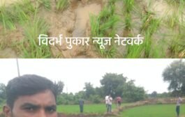हत्तीचा कळप आला वैरागड - चामोर्शीच्या जंगलात.केले उभ्या पिकाचे नुकसान. हत्तीचा बंदोबस्त करा अन्यता आमच्या जमीनी वनविभागाच्या स्वाधिन करा. वैरागड वासीयांचे RFO ला निवेदन.