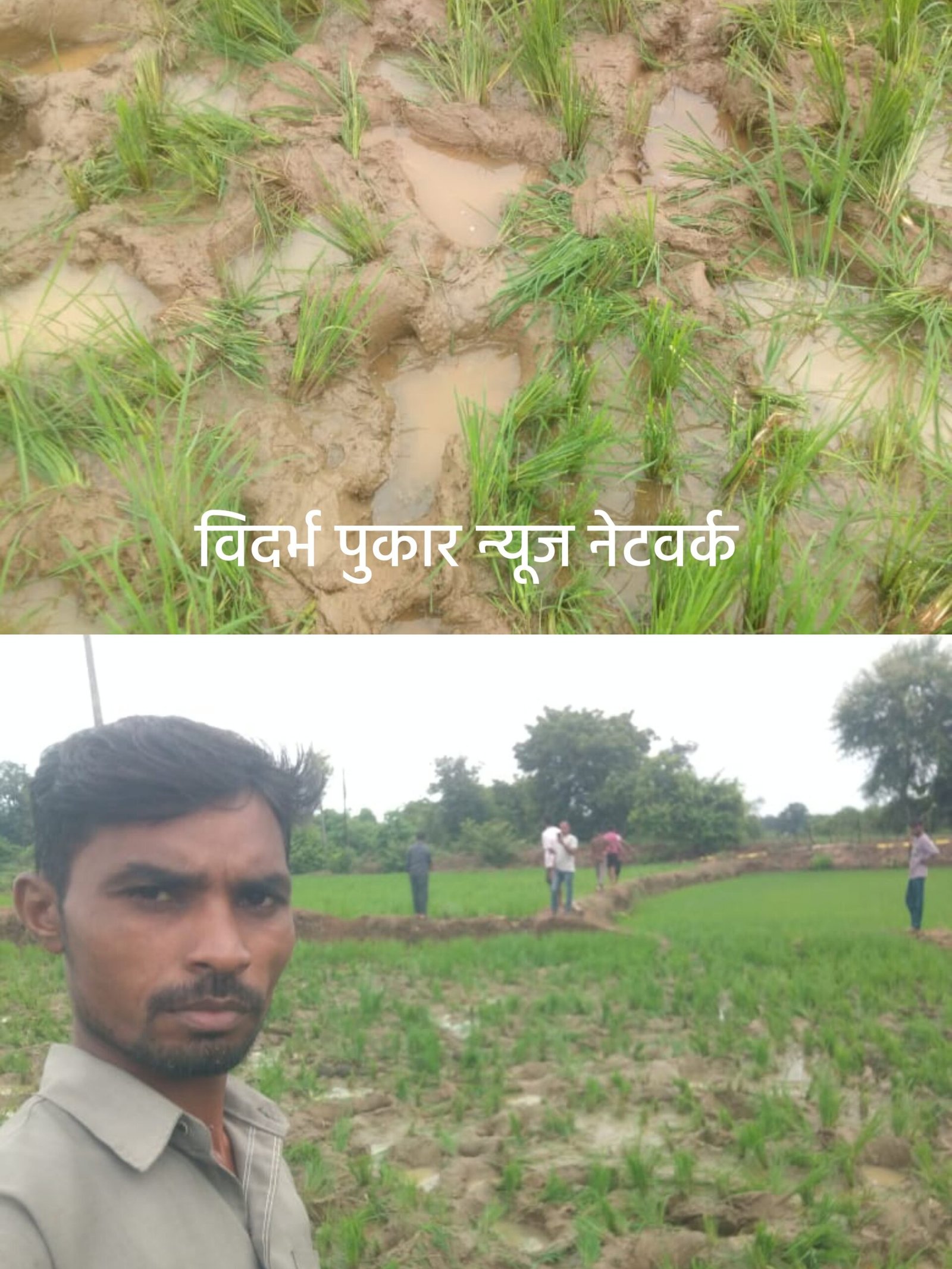 हत्तीचा कळप आला वैरागड - चामोर्शीच्या जंगलात.केले उभ्या पिकाचे नुकसान. हत्तीचा बंदोबस्त करा अन्यता आमच्या जमीनी वनविभागाच्या स्वाधिन करा. वैरागड वासीयांचे RFO ला निवेदन.