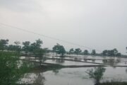 ⛈️वैनगंगा पुरामुळे नदिकिनाऱ्यावरील शेतीचे नुकसान⛔शासनाने नुकसान भरपाई देण्याची रिपाईची मागणी