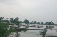 ⛈️वैनगंगा पुरामुळे नदिकिनाऱ्यावरील शेतीचे नुकसान⛔शासनाने नुकसान भरपाई देण्याची रिपाईची मागणी