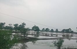 ⛈️वैनगंगा पुरामुळे नदिकिनाऱ्यावरील शेतीचे नुकसान⛔शासनाने नुकसान भरपाई देण्याची रिपाईची मागणी