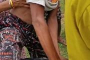 @किसानगर येथील शेरक्यास वाघाने केले💥जखमी तर एक बकरी ठार 💥दुसऱ्या घटनेत जवाटन जांम्ब गावातील एक बैल ठार