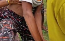 @किसानगर येथील शेरक्यास वाघाने केले💥जखमी तर एक बकरी ठार 💥दुसऱ्या घटनेत जवाटन जांम्ब गावातील एक बैल ठार
