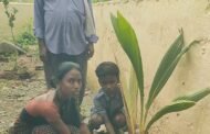 🌴एक पेड मा के नाम या उपक्रमांतर्गत जिल्हा परिषद प्राथमिक शाळा येरगव्हान येथे सपन्न