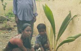 🌴एक पेड मा के नाम या उपक्रमांतर्गत जिल्हा परिषद प्राथमिक शाळा येरगव्हान येथे सपन्न